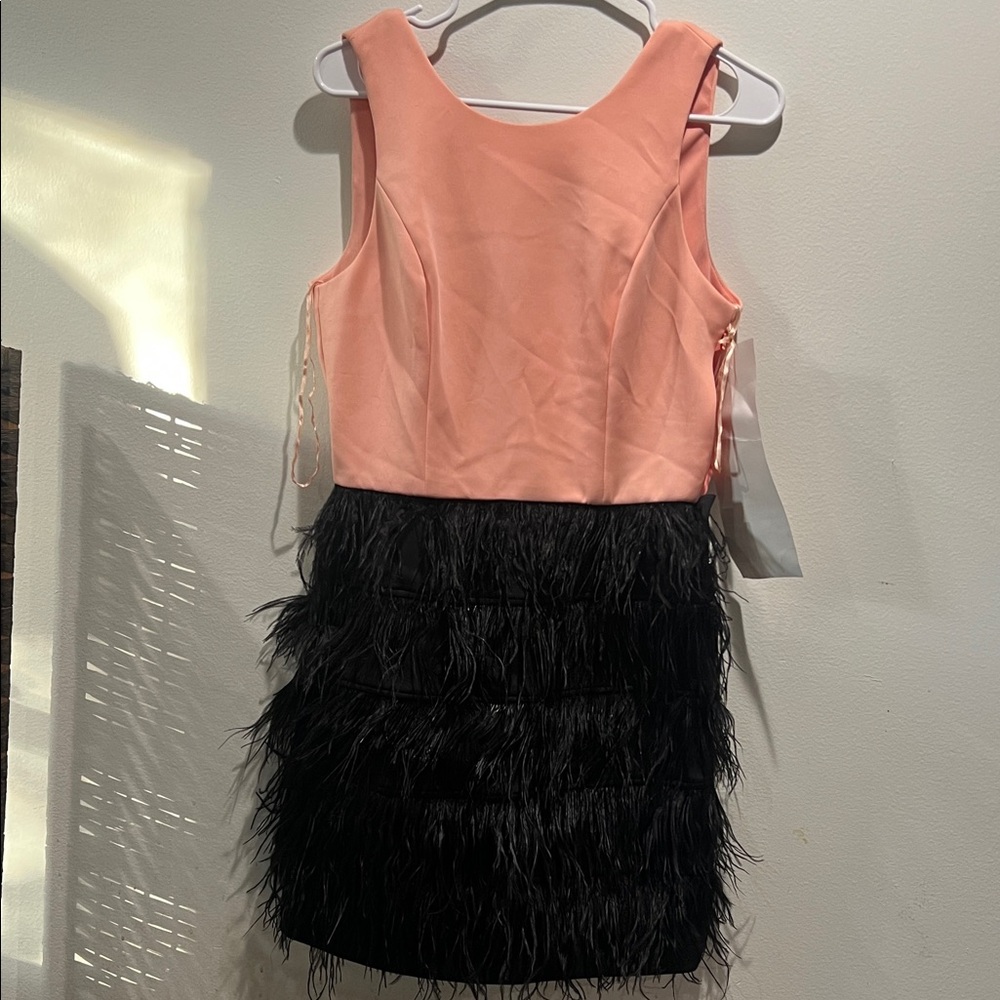 Elegant coral and Black Feathered Dress